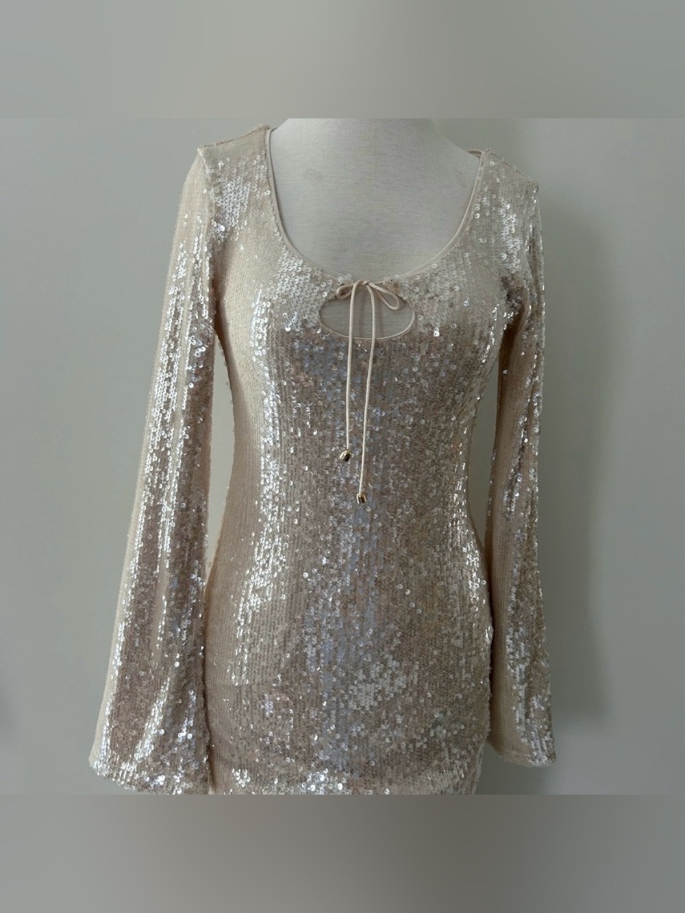 Wild Fable Sequin Dress